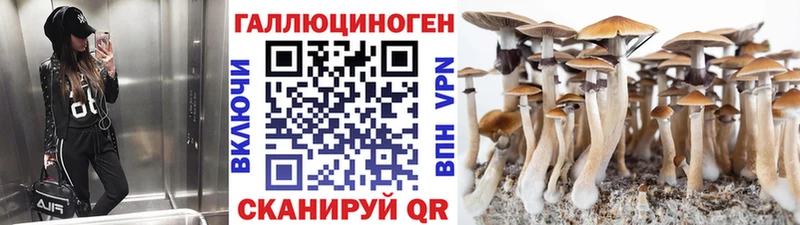 Галлюциногенные грибы Psilocybine cubensis  Котельниково 